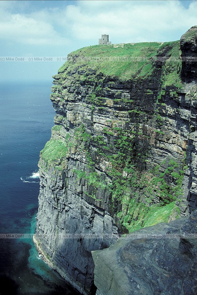 Cliffs of Moher the Burren
