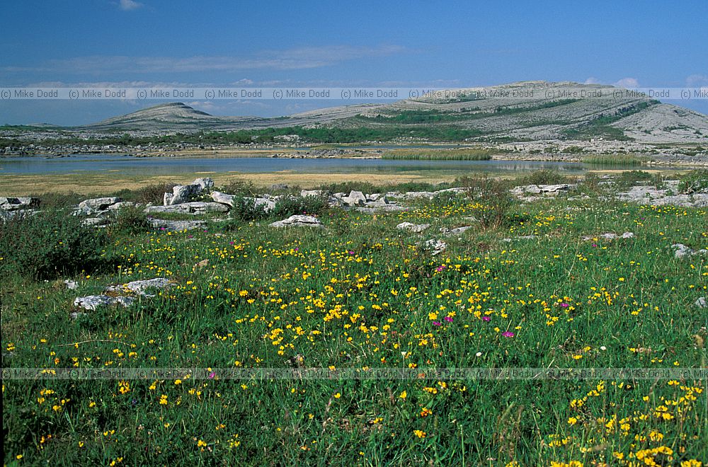 Turlough and limestone pavement the Burren