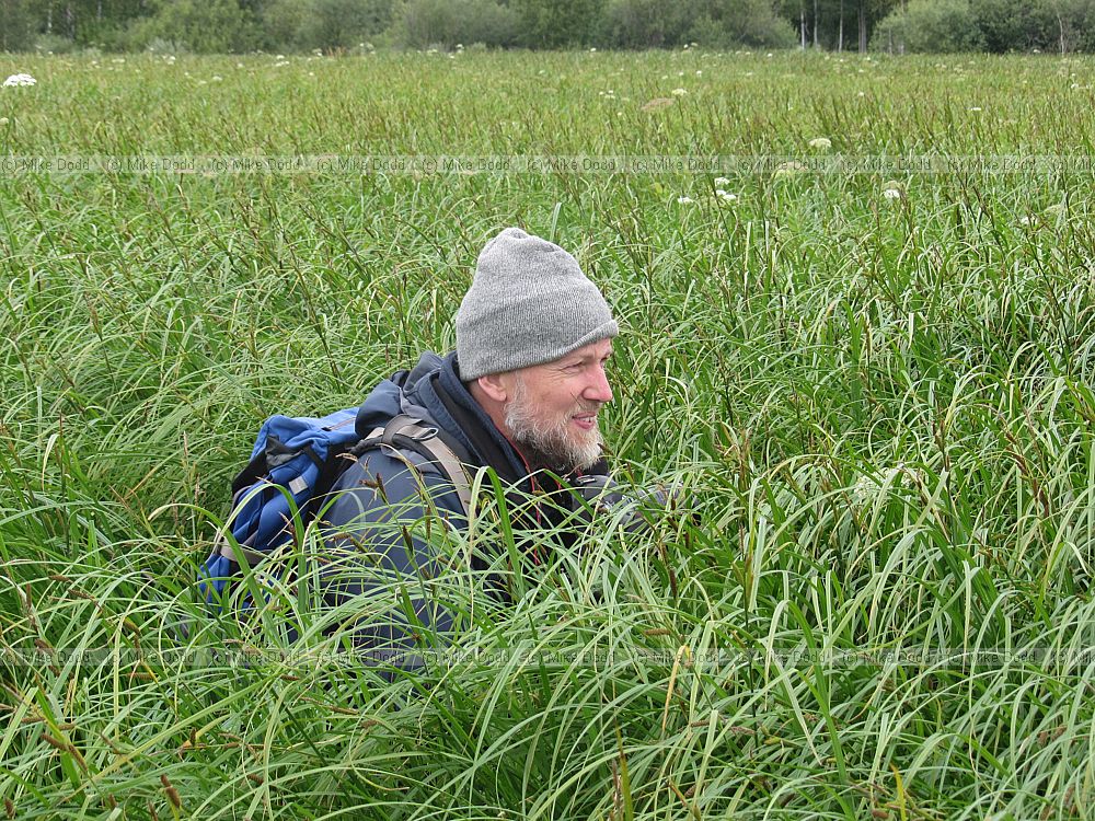 Mike Dodd in Carex