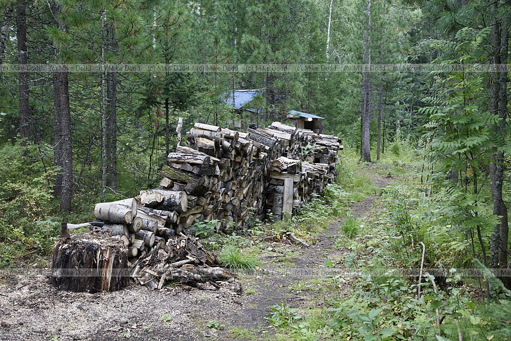 Mukhrino Field Station log pile