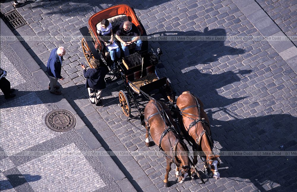Horse taxi Prague