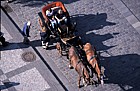 Horse taxi Prague