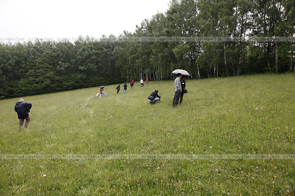 Orchid workshop people