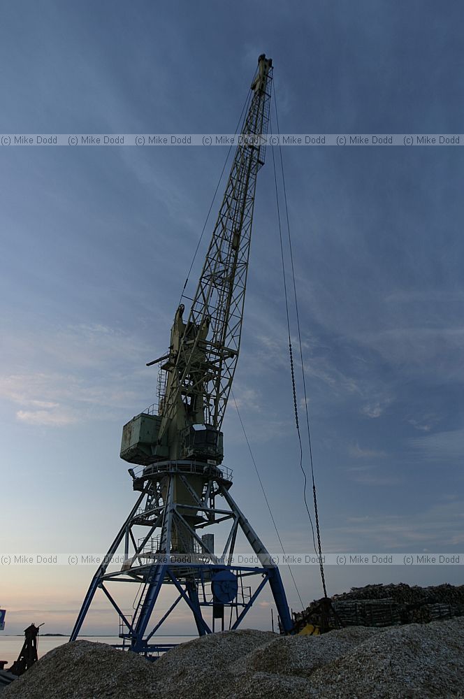 Crane, sunset, Heltermaa