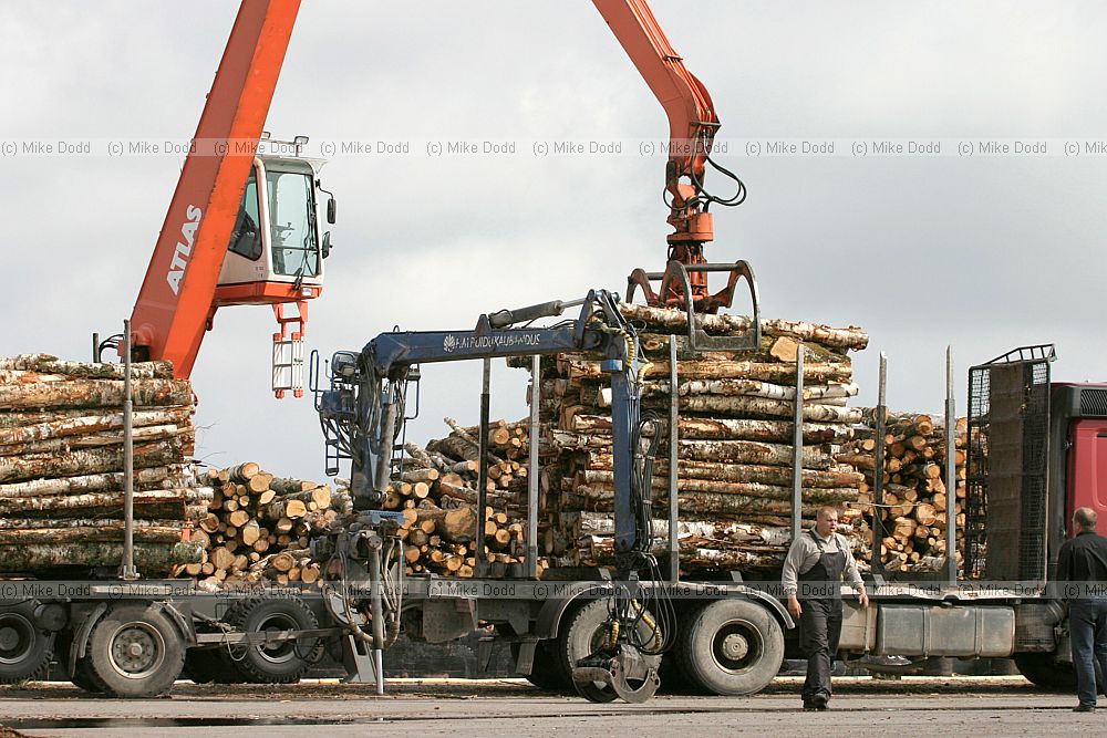 loading birch logs onto barge Heltermaa