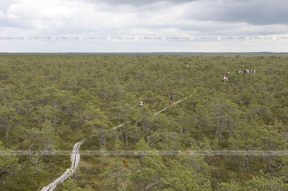 Oidrema Tuhu wetland and mire