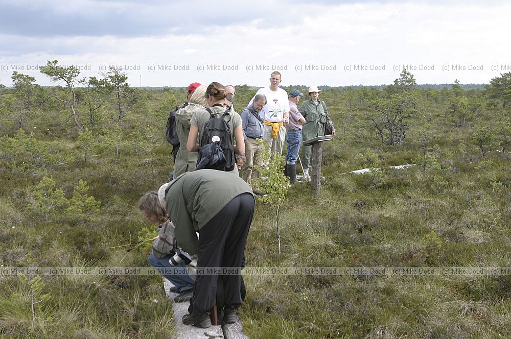 Oidrema Tuhu wetland and mire