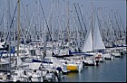 marina La Rochelle