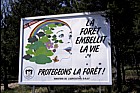 Forest life sign