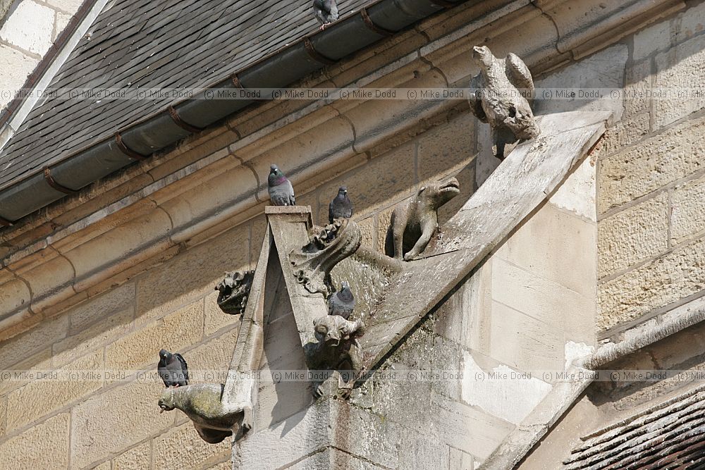 Gargoyle chimaera Eglise St Michel Dijon