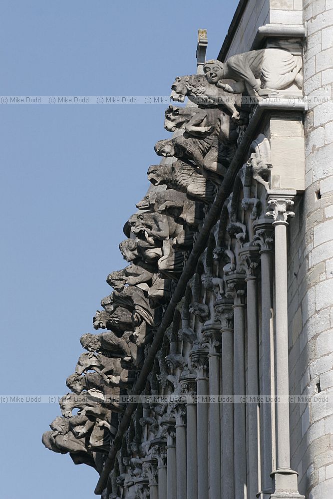 Gargoyle Chimaera Eglise Notre-Dame Dijon