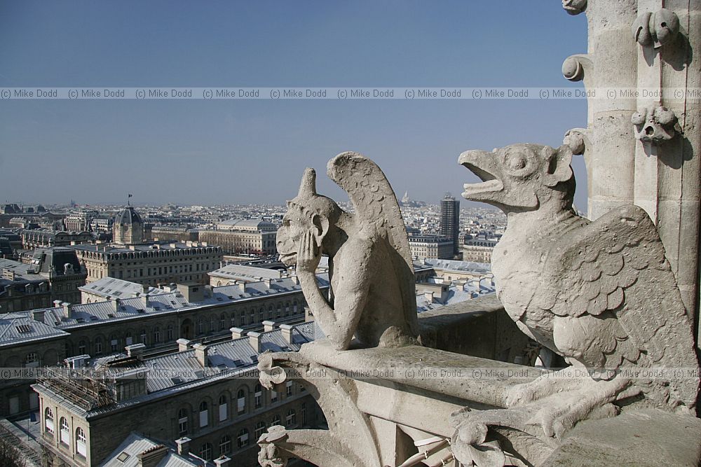 gargoyle chimaera Notre Dame Paris