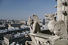 gargoyle chimaera Notre Dame Paris