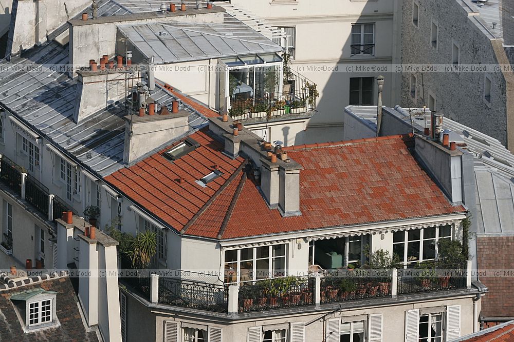 roofs from Notre Dame