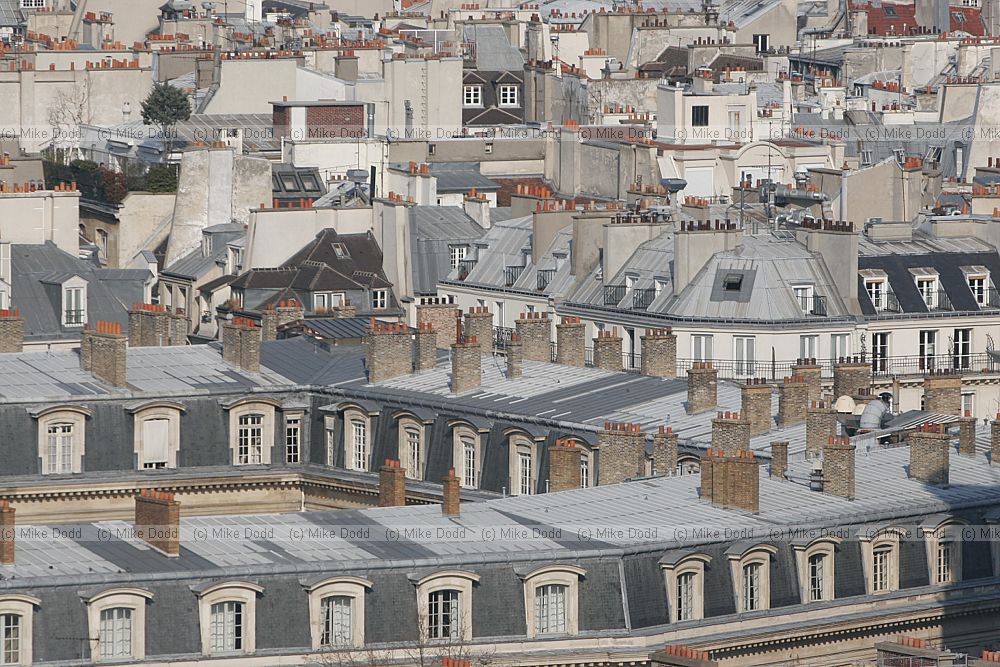 roofs from Notre Dame