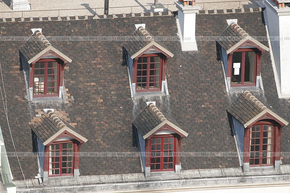 roofs from Notre Dame