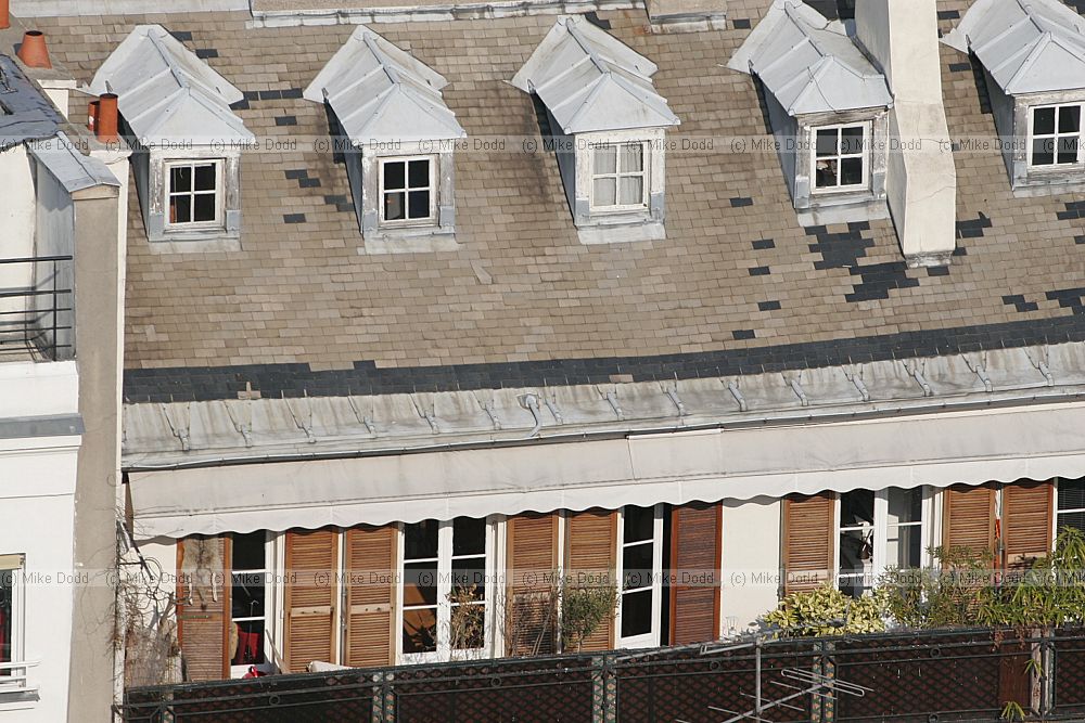 roofs from Notre Dame