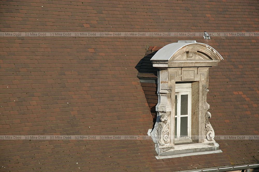 Window in roof Dijon
