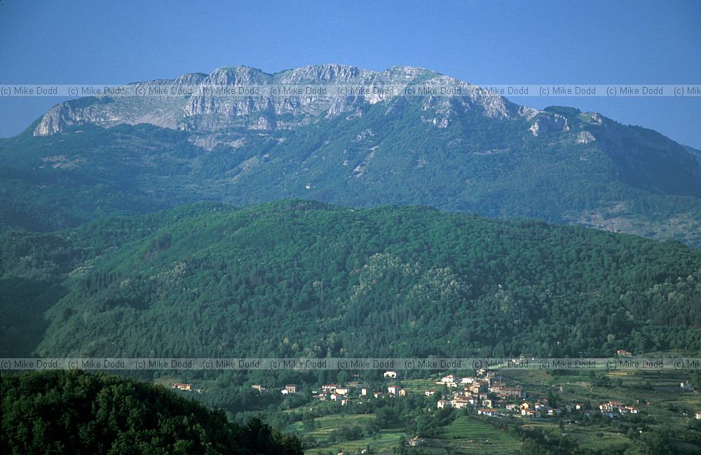 Pania di Corfino from Roccalberti
