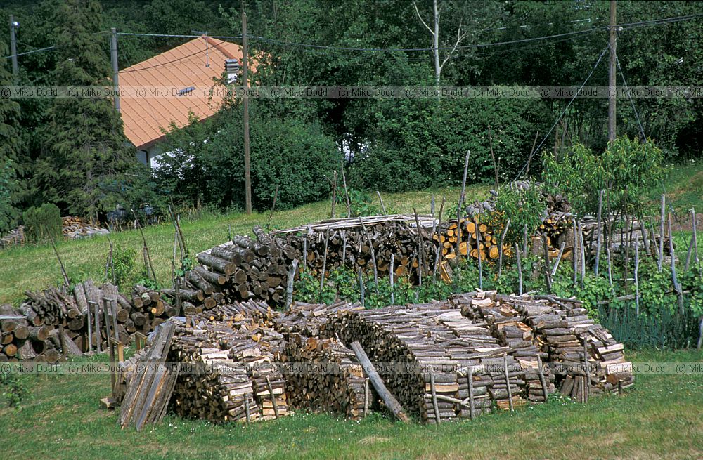 Woodpiles near Puglianella