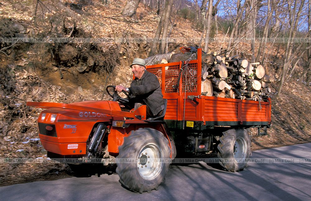 Tractor with logs Roggio