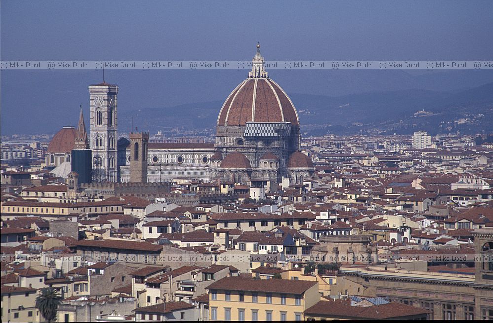 Firenze Florence skyeline