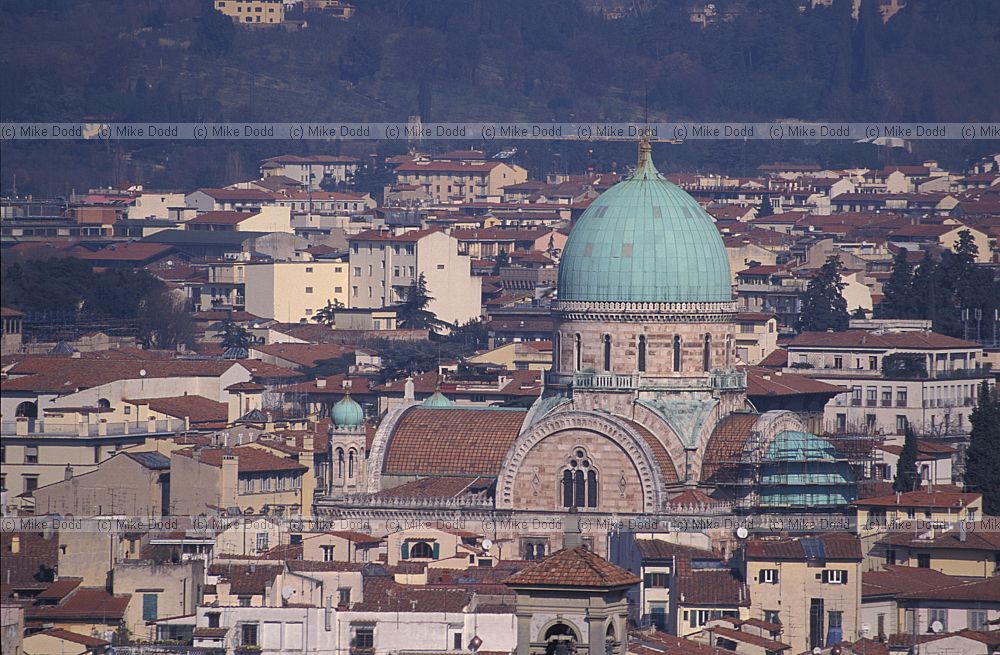 Firenze Florence skyeline