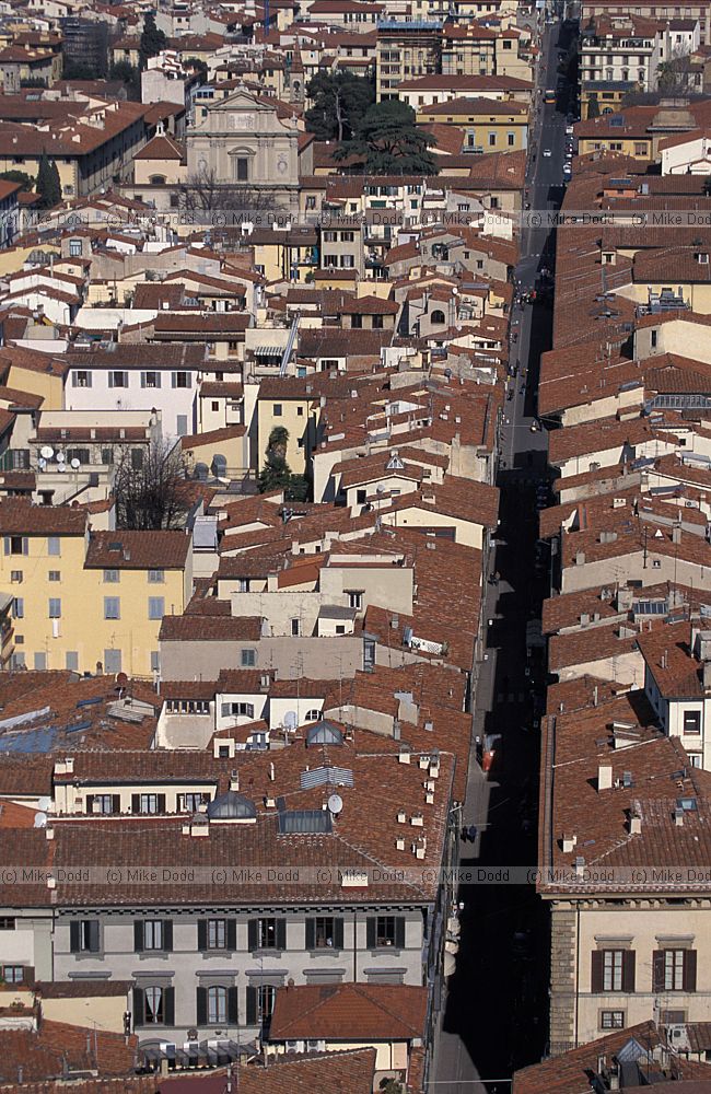 Firenze Florence skyeline