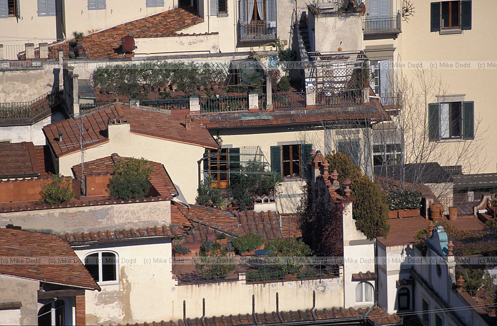 rooves and roof gardens  Firenze Florence