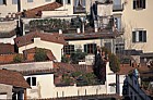 rooves and roof gardens  Firenze Florence