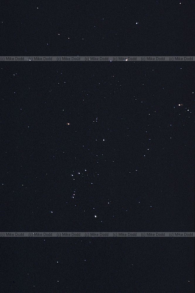 Orion star constellation at Roccalberti
