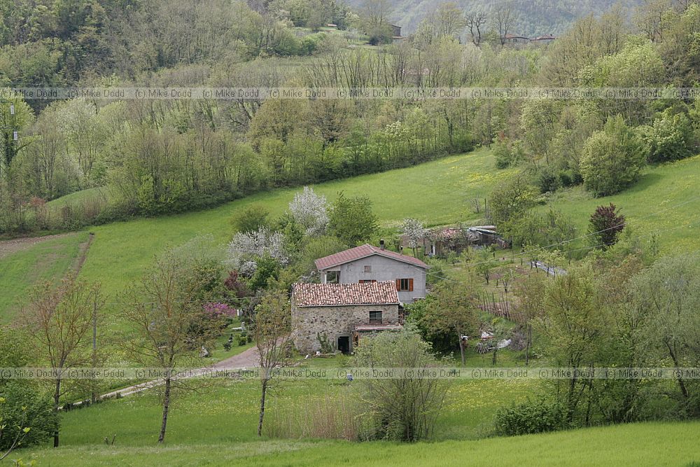 Farm near Roccalberti