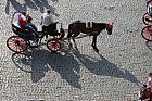 Horse carridge shadow on cobbles outside Colosseum