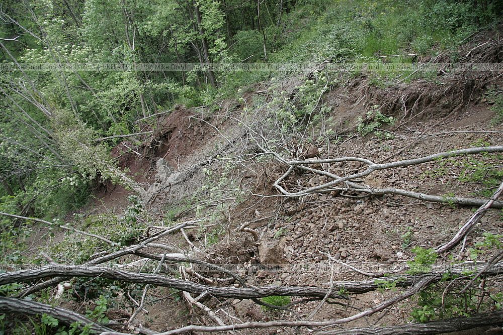 Landslide Roccalberti