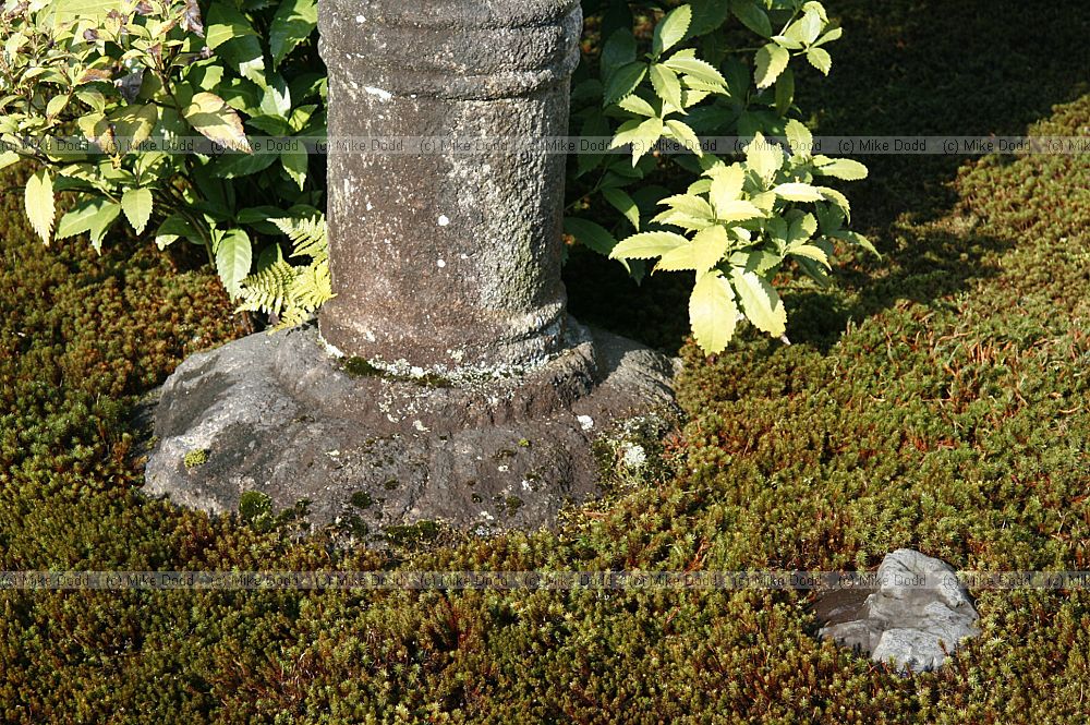 moss garden Daitoku-ji Temple area