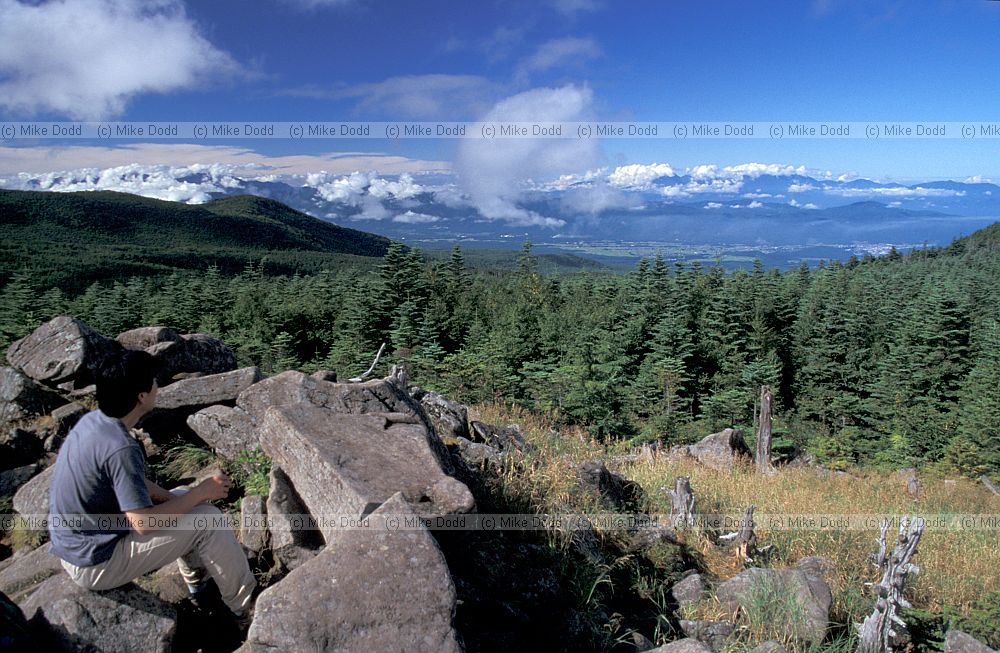 Abies fir forest landscape mt Chausu
