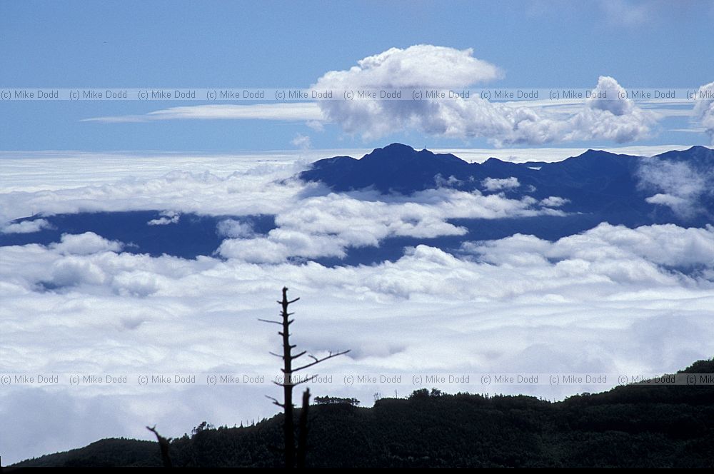 Cloud sea from mt Chausu