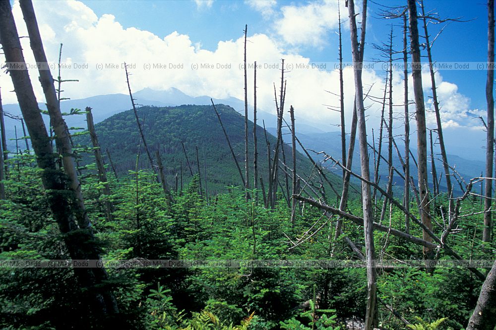 mt Chausu ex volcano from mt Shimagare