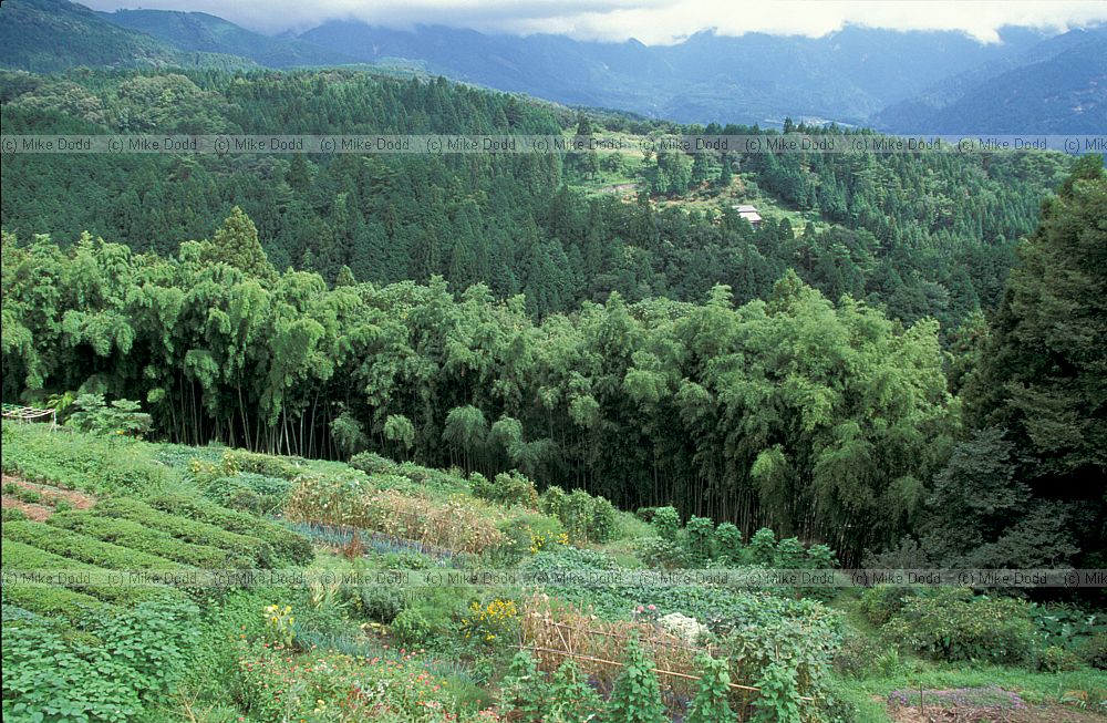 General habitats and crops Magome Kiso valley