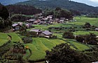 Rice fields Tsumago village Kiso valley