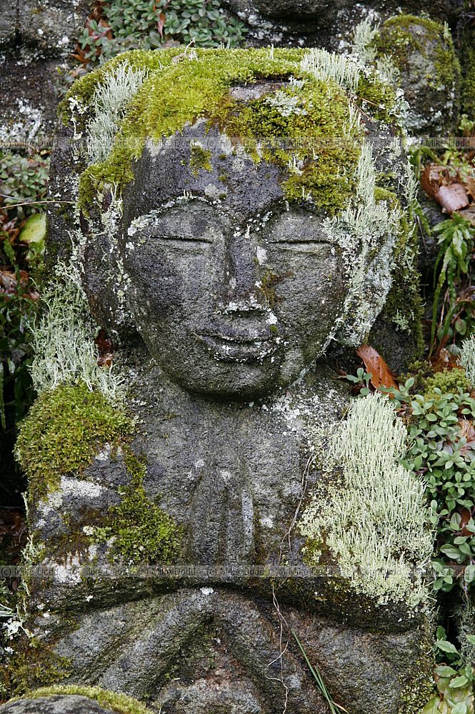 some of the 1200 stone images of Rakan Otagi Nenbutsu-ji Temple