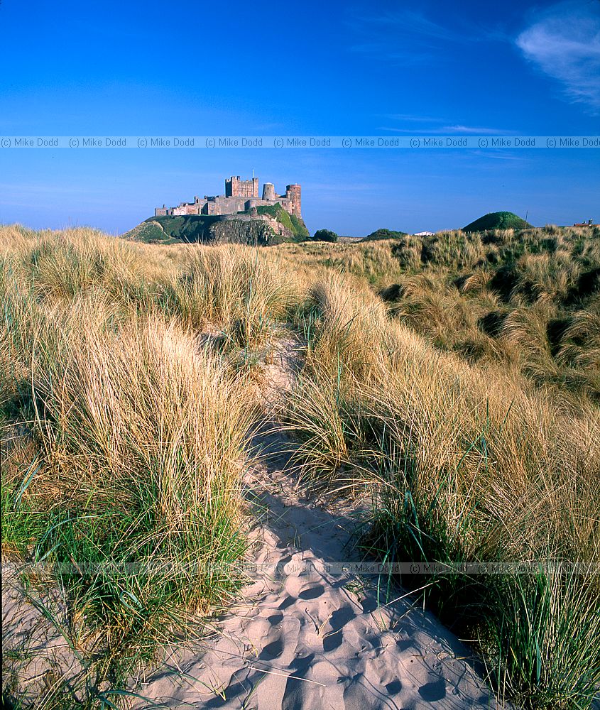 Bamburgh castle Northumberland