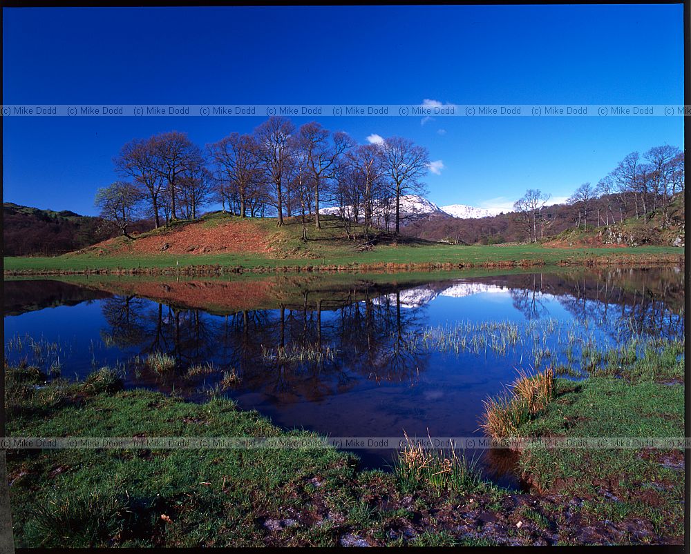 Elterwater with blue sky lake District