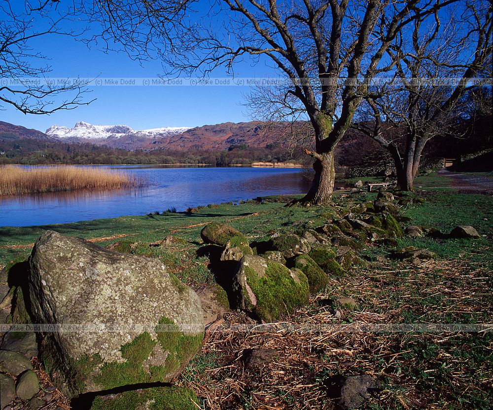 Elterwater with blue sky lake District