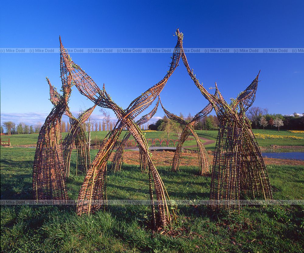 Living sculpture Campbell park Milton Keynes using Salix