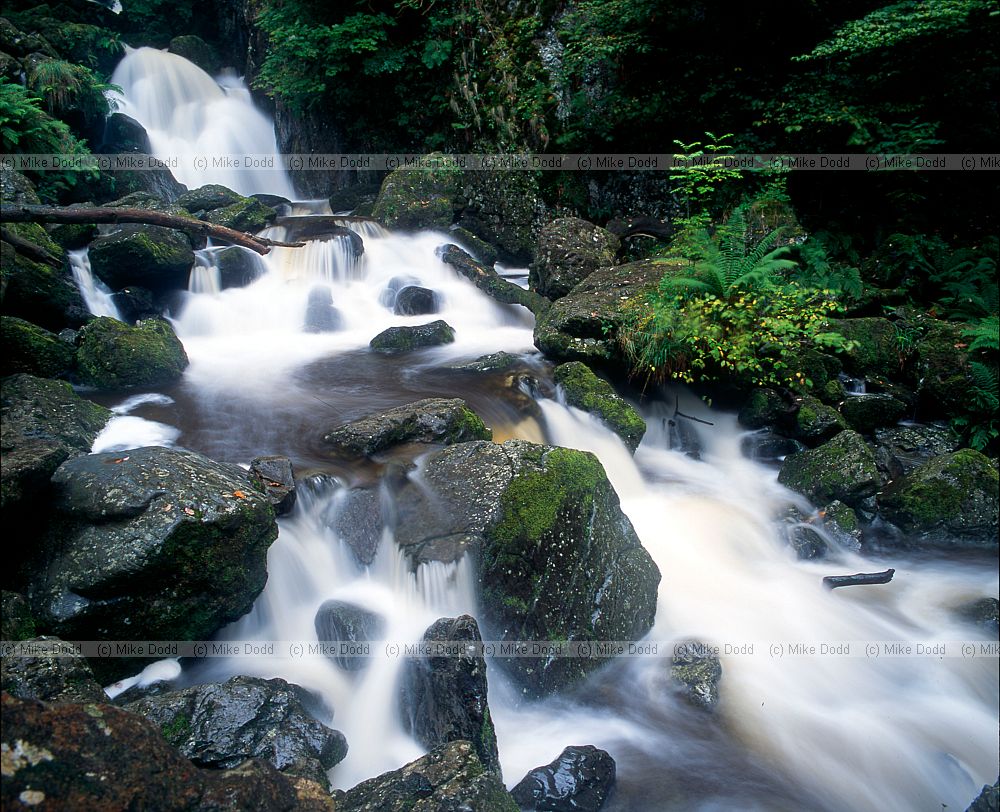Loddre cascade Derwentwater Lake District