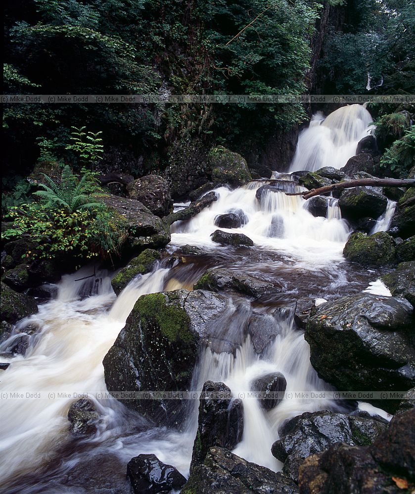 Loddre cascade Derwentwater Lake District
