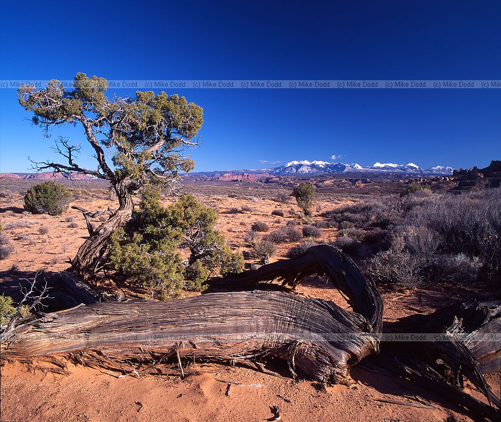 Arches national park Utah