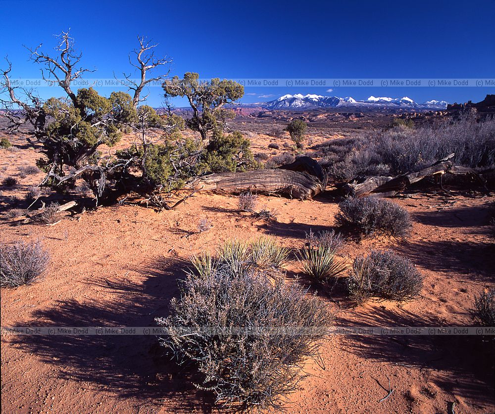 Arches national park Utah
