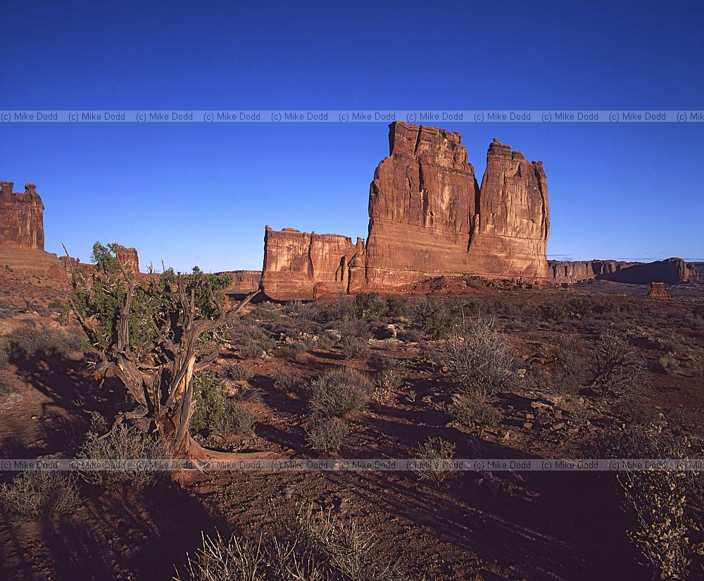 Arches national park Utah